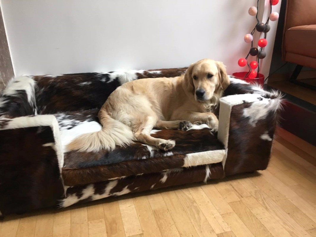DE 113 A Dog bed made of cowhide Bedroom Items by category