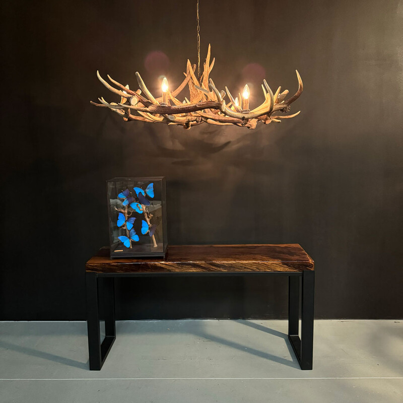 HG 115, Red stag antlers chandelier 