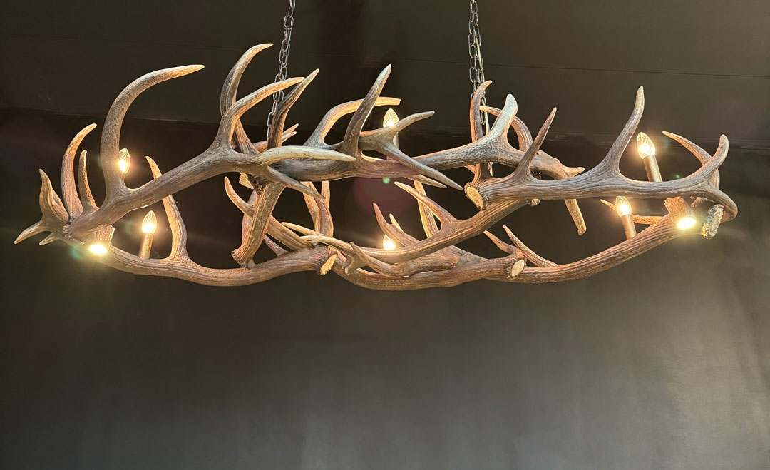 HG 269, Antler Chandelier, Oval Shape, with 6 lamps and 2 spots