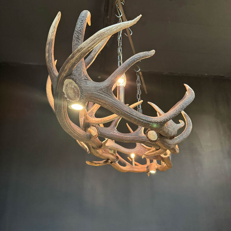 HG 269, Antler Chandelier, Oval Shape, with 6 lamps and 2 spots