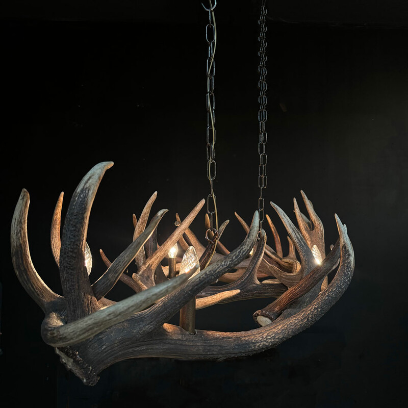 HG 269, Antler Chandelier, Oval Shape, with 6 lamps and 2 spots