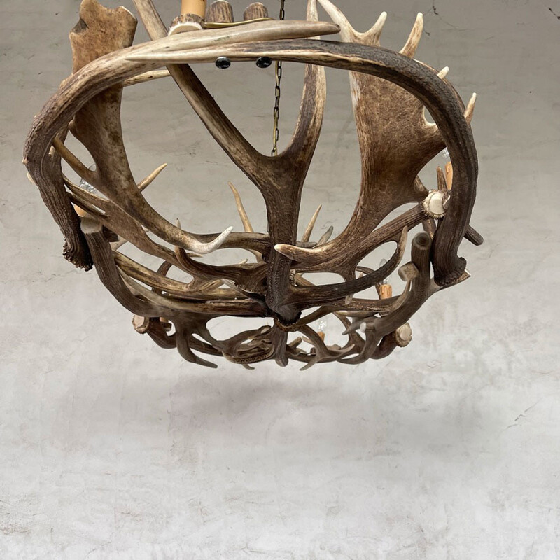 HG 272, Oval antler chandelier with 6 lamps