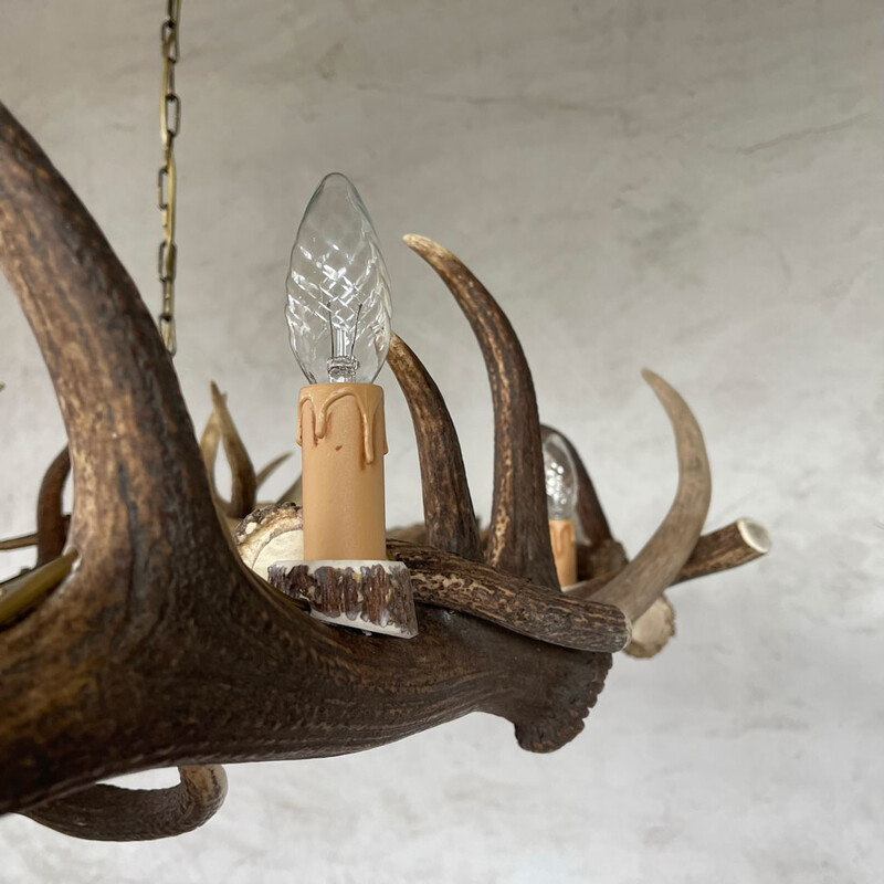 HG 272, Oval antler chandelier with 6 lamps