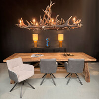 HG 273, Oval antler chandelier with 8 lamps