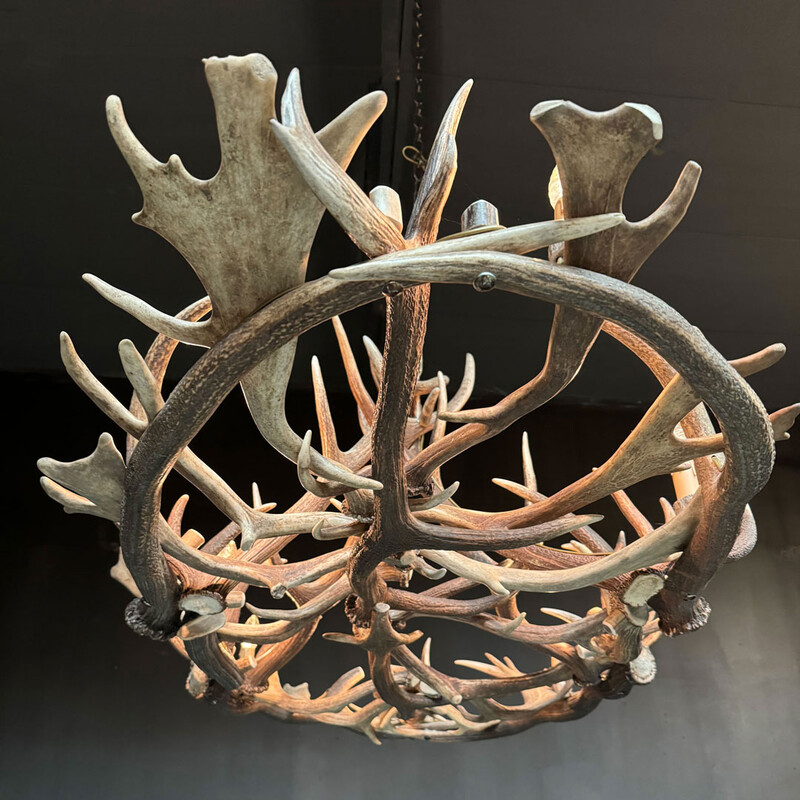 HG 273, Oval antler chandelier with 8 lamps