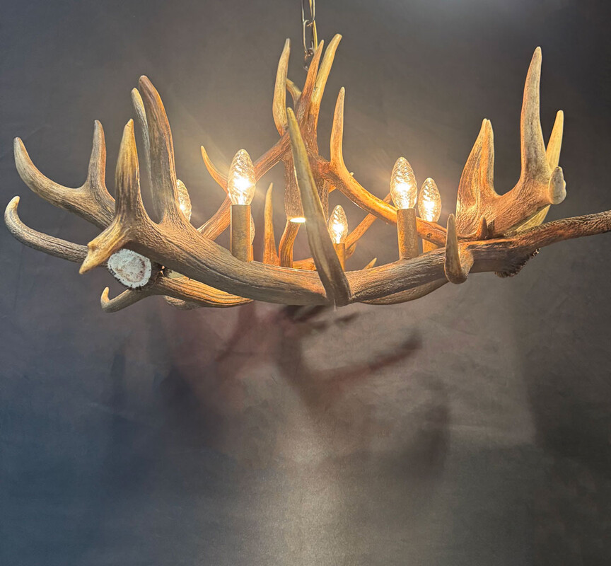 HG 274, Antler chandelier with 6 lamps and 1 spot