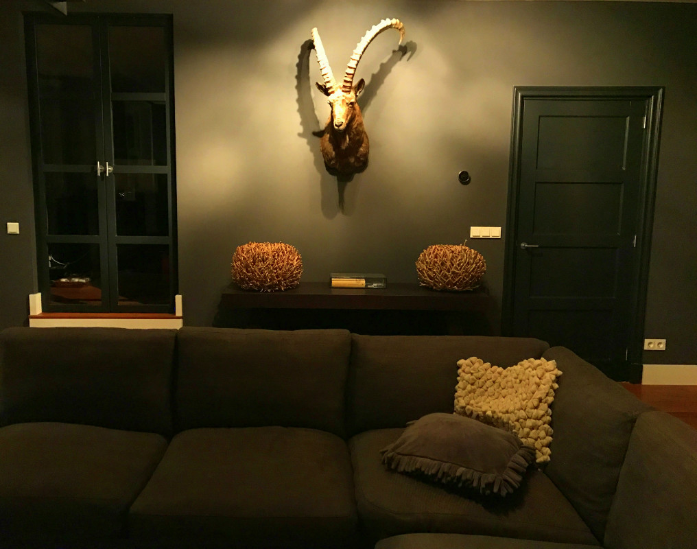 Interieur taxidermy design