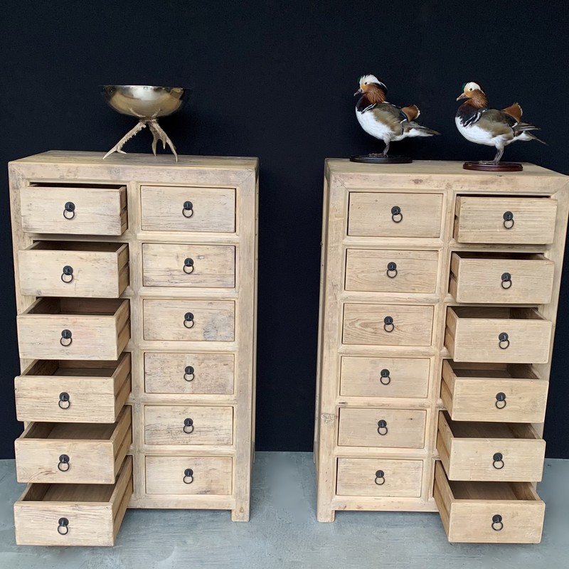 verschil Afbreken Spit KT 158, Cabinet with 12 drawers - Kasten - landelijke meubels, Meubels voor  landelijke inrichting, - De Jong Interieur