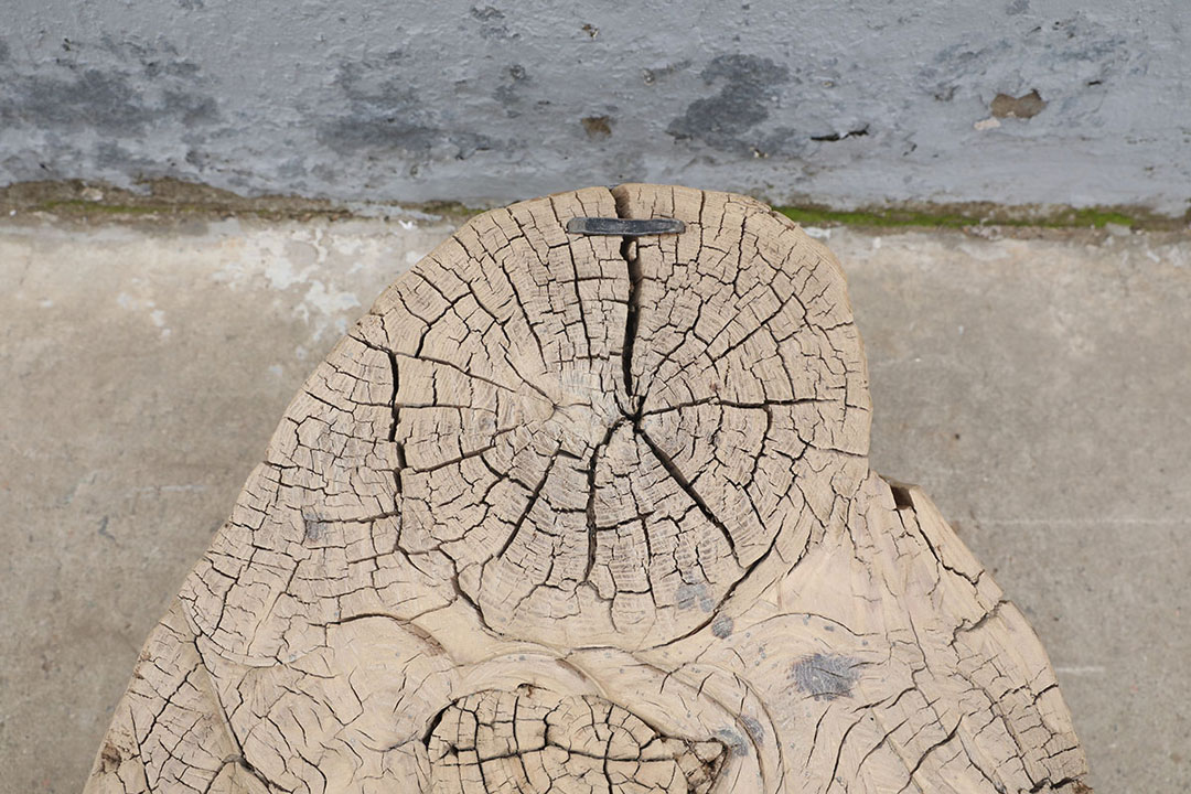 L255, Wooden coffee table