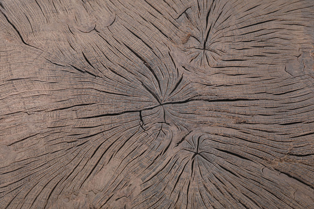 L335, Dark wooden coffee table 