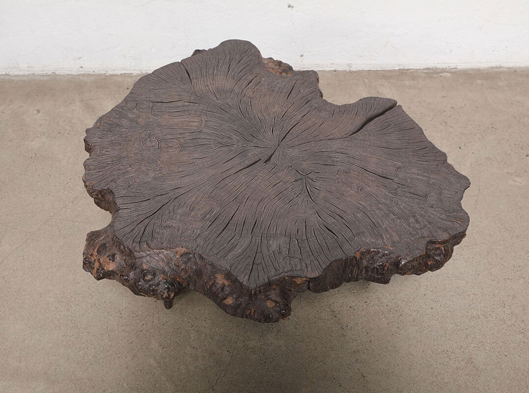L354, Dark wooden coffee table