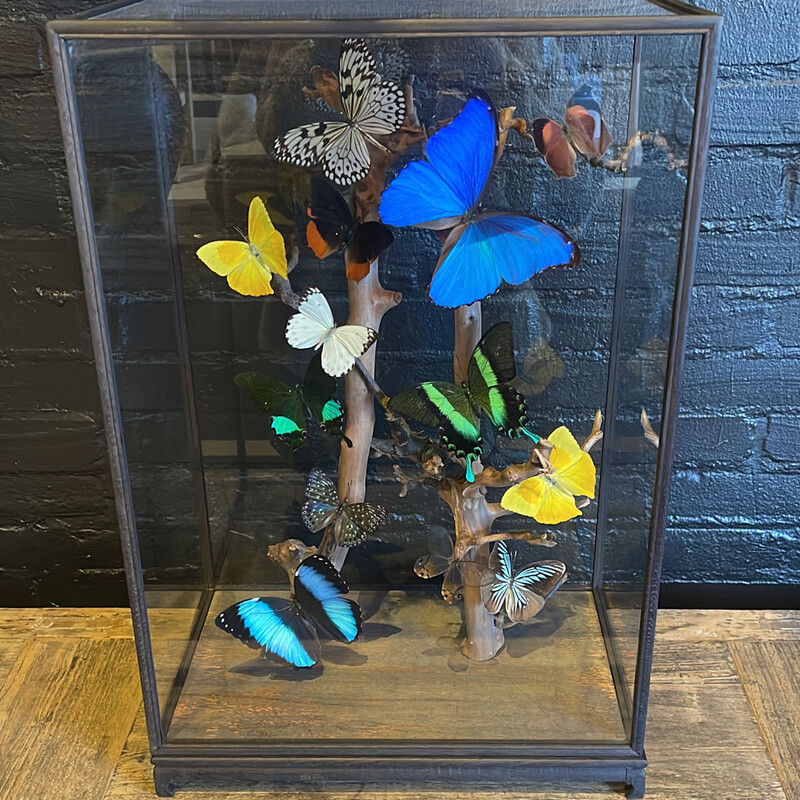 VI 195, Colored butterflies in square dome